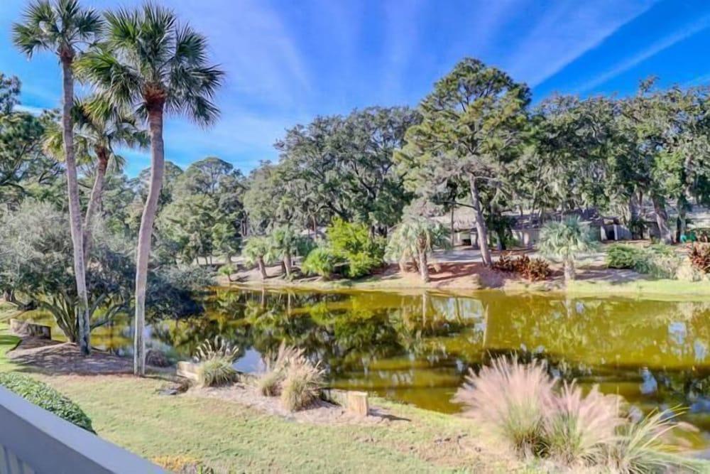 5 Turtle Lane at The Sea Pines Resort - photo 10