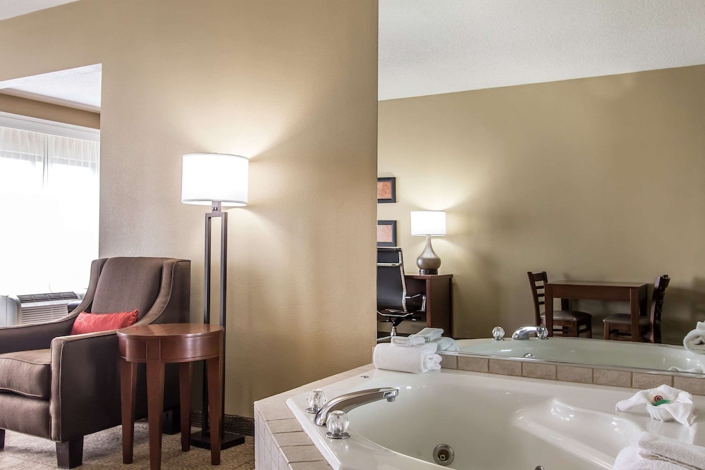 Comfort Suites Effingham Central - photo 16