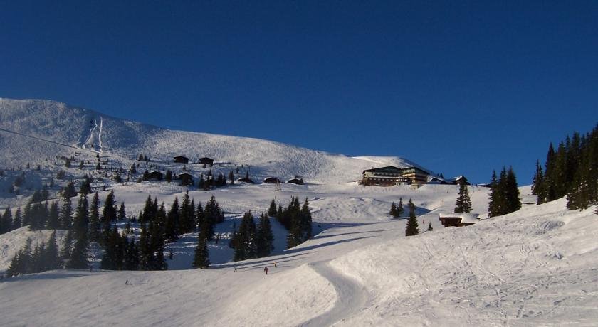 Gourmet Hotel Grünwald in Leogang, Austria