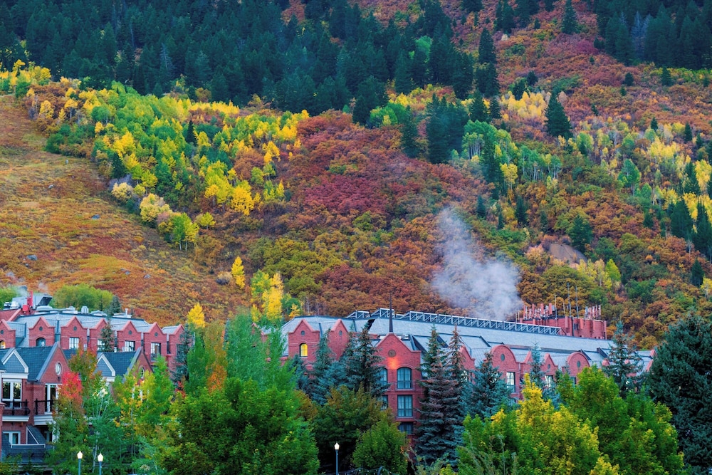 The St. Regis Aspen Resort - photo 186