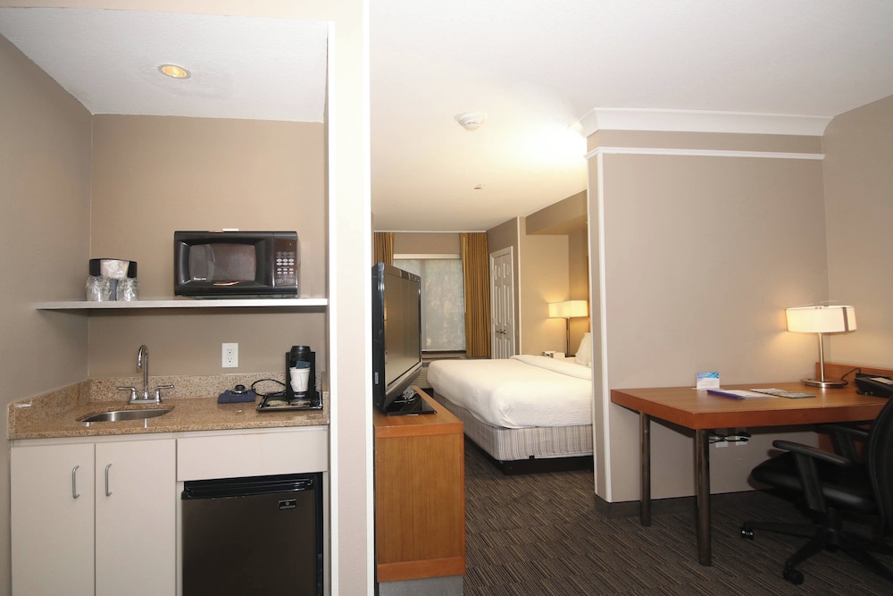 SpringHill Suites by Marriott Charleston N. Ashley Phosphate - photo 10