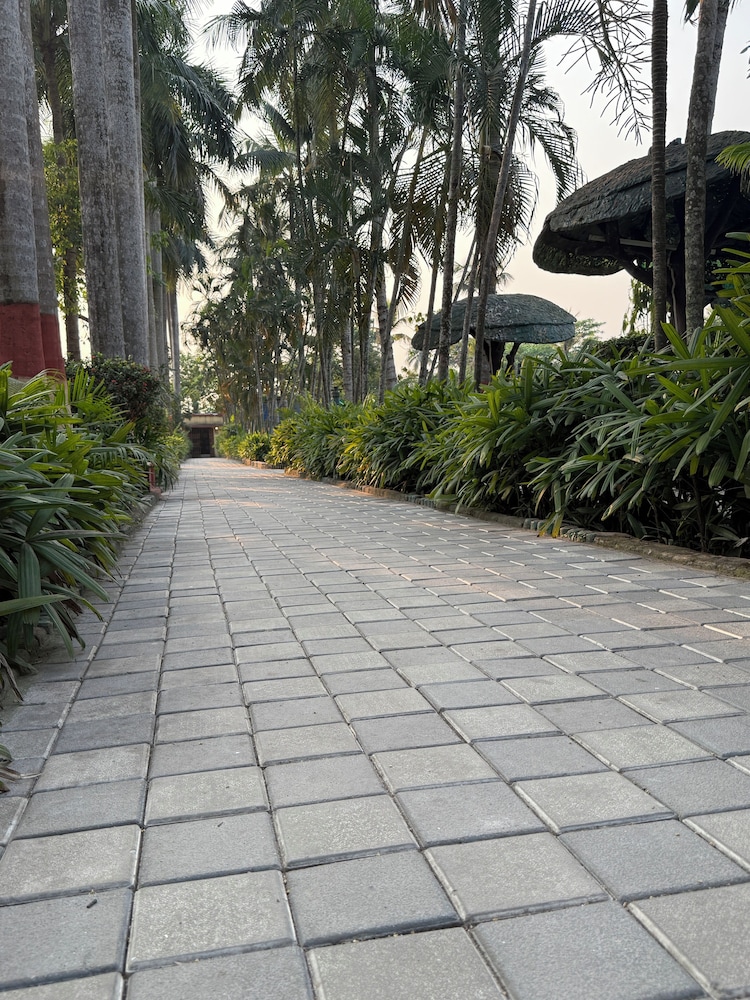 Palm Village Resort — Alipur — photo 2