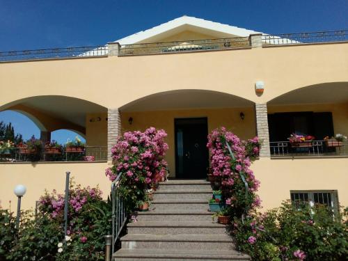 Le Rose — Olmedo — photo 3