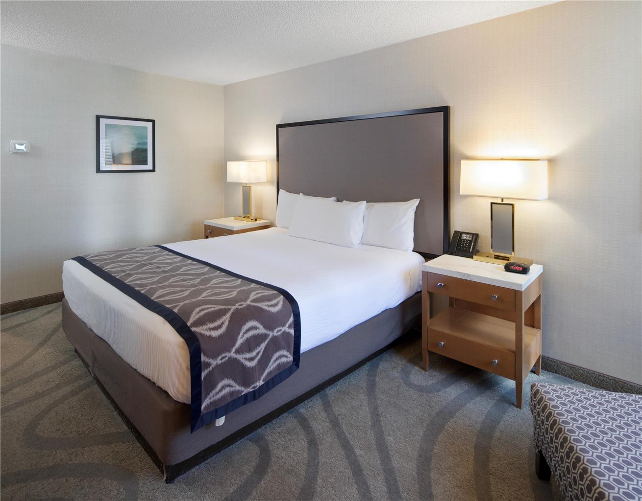 California Hotel and Casino - photo 11