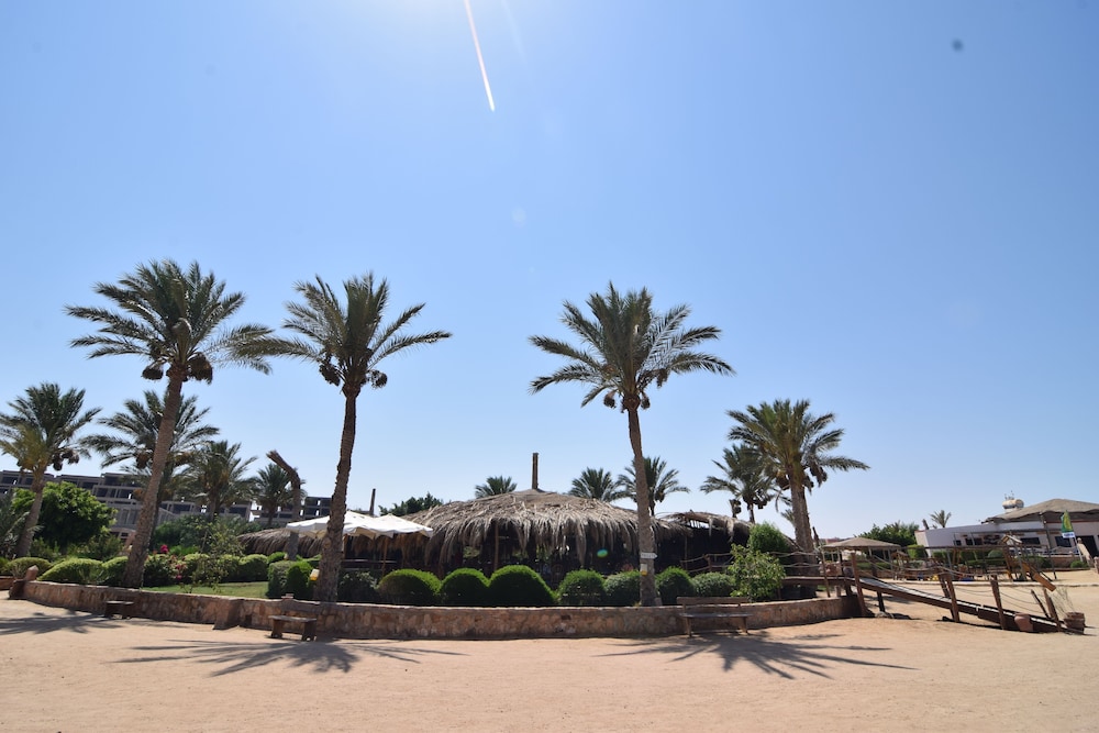 Sharm El Naga Resort and Diving Center pet-friendly hotel Hurghada