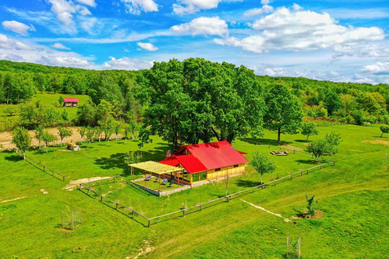Căsuța din Stejari Transalpina in Novaci, Romania
