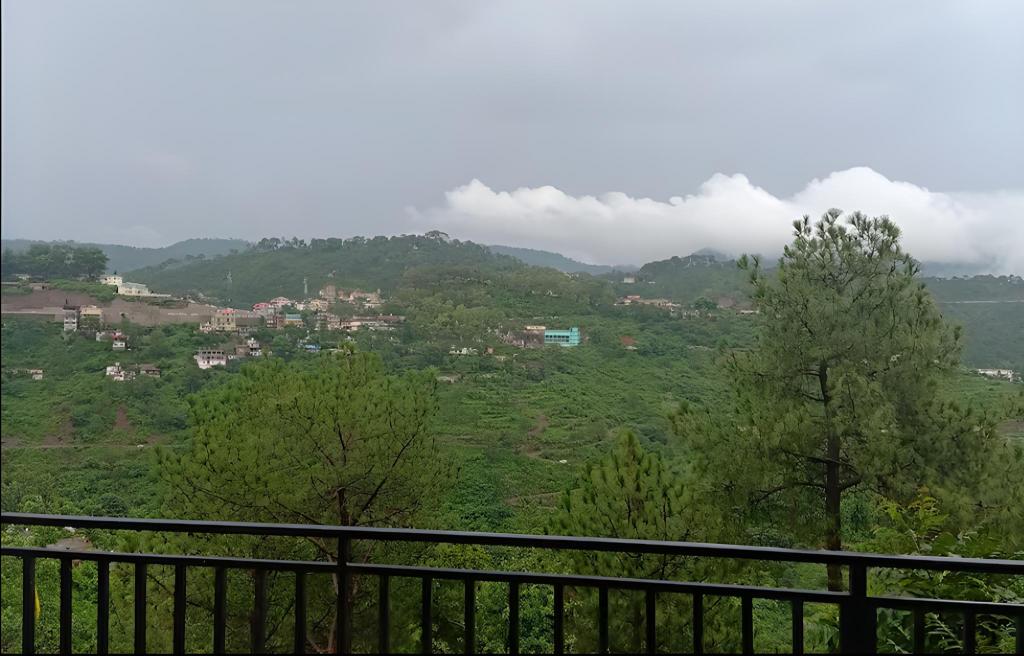 Kasauli Greens Homestay — Dharampur — photo 5