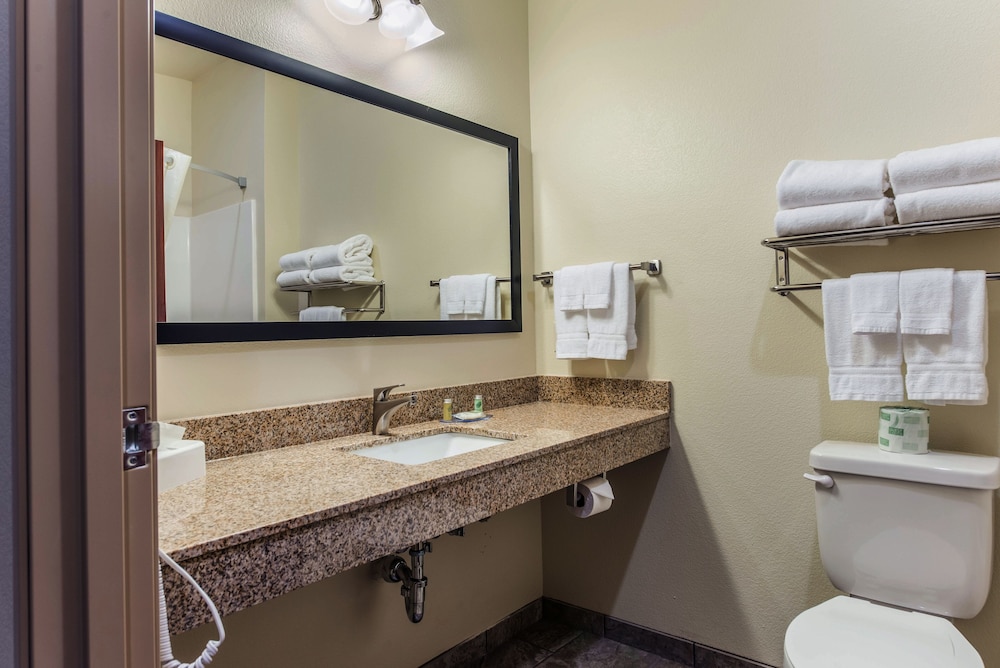 Cobblestone Hotel & Suites Andrews - photo 5