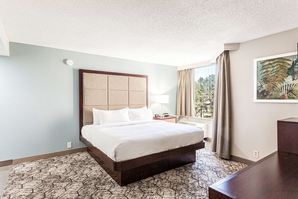 DoubleTree by Hilton Hotel Memphis - photo 20