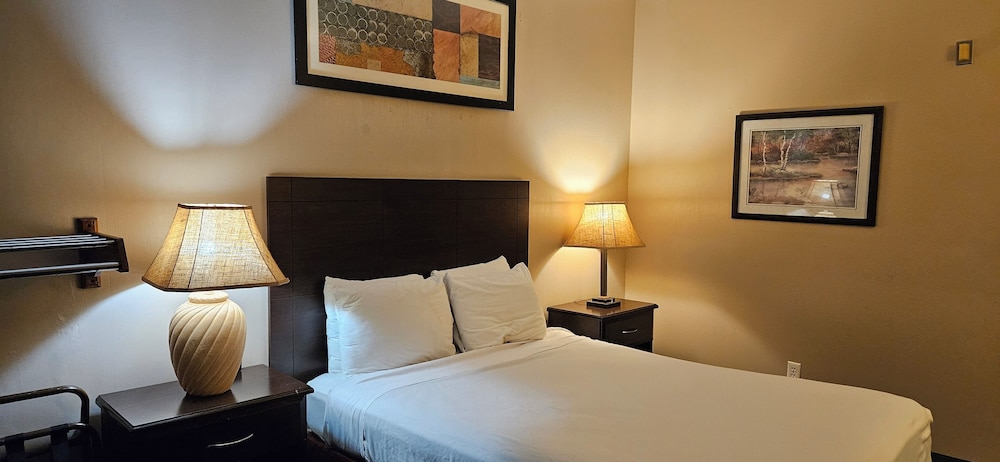 Bellis Inn - photo 14