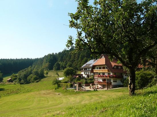 Schlosshof der Urlaubsbauernhof - carbon neutral hotel in Elzach