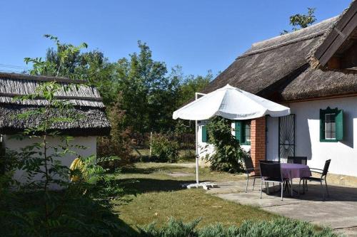Boróka Tanya pet-friendly hotel Orgovany