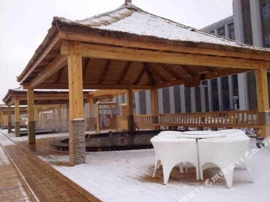Art Village Hot Spring Hotel — hotel in Daqing