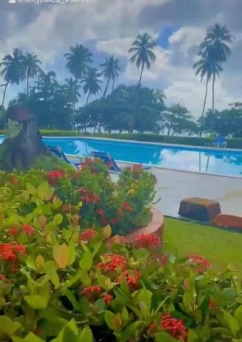 River 1 Basili in Samana, Dominican Republic