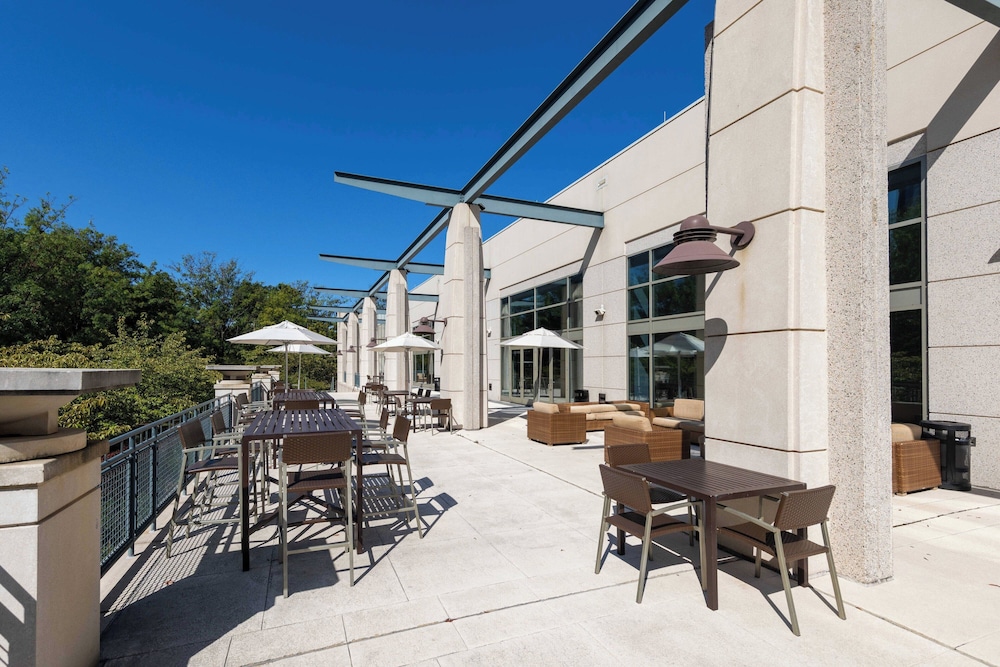 Bethesda North Marriott Hotel & Conference Center - photo 60