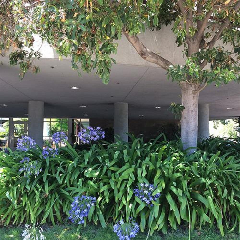 Cupertino Hotel - photo 31