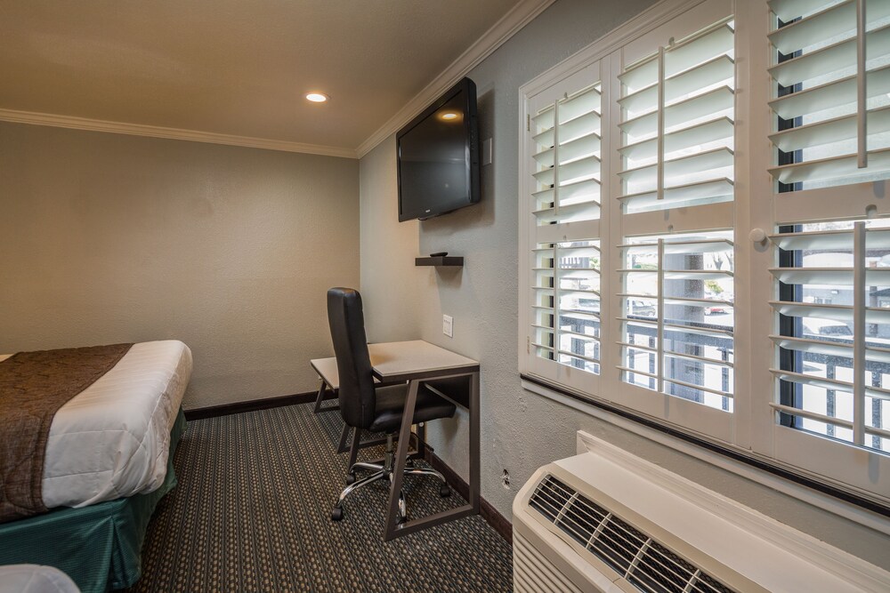 Bayhill Inn - photo 5