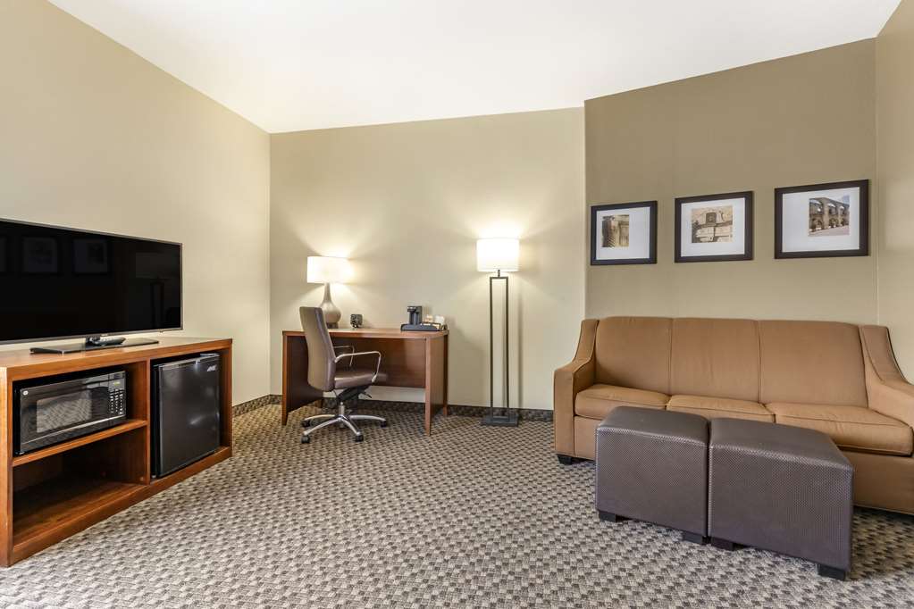 Comfort Suites Medical Center near Six Flags - photo 12