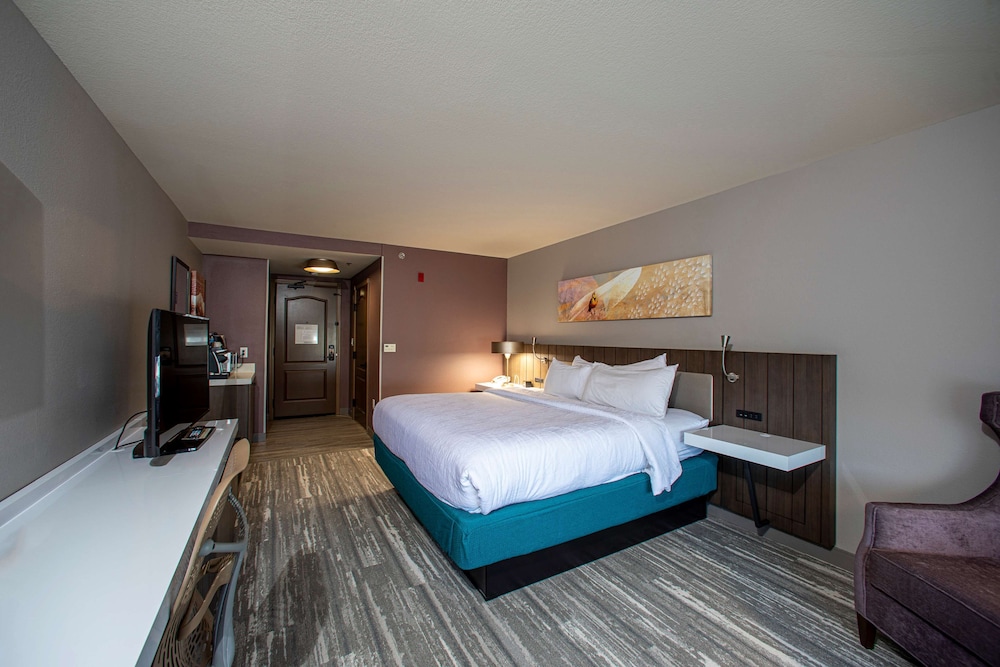 Hilton Garden Inn Rapid City - photo 33
