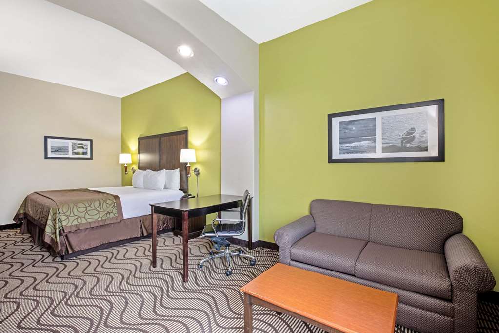 La Quinta Inn & Suites by Wyndham Corpus Christi Airport - photo 17