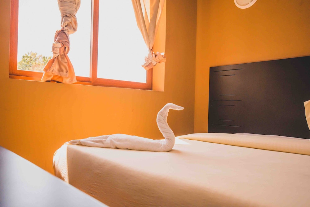 Panone Hotel Boma — Arusha — photo 4