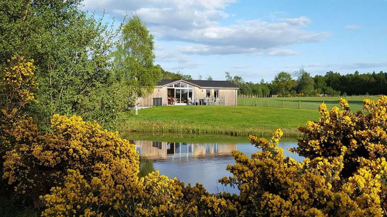 Birch Lodge Pitlandie Luxury 2 Bedroom Lodge with Sauna — 4-Star Luxury Hotel in Perth, United Kingdom
