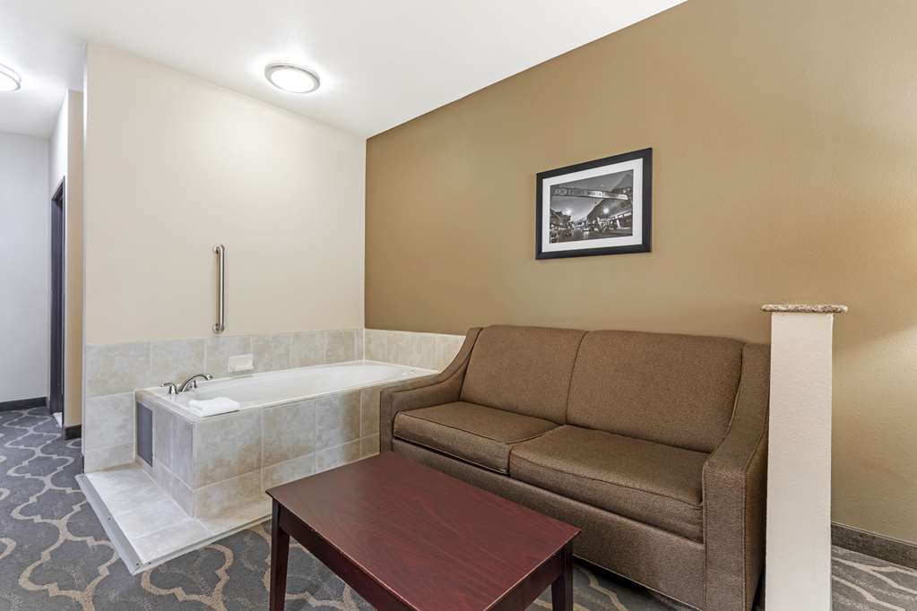 Best Western Plus Burleson Inn & Suites - photo 18