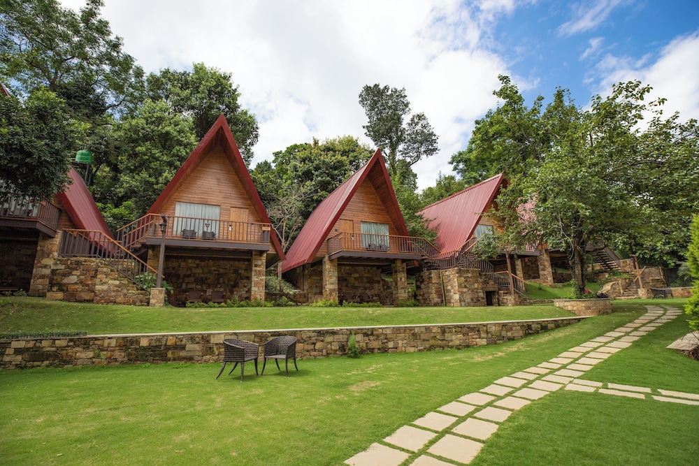 The Pear Orchard By Countryside in Haldwani, India