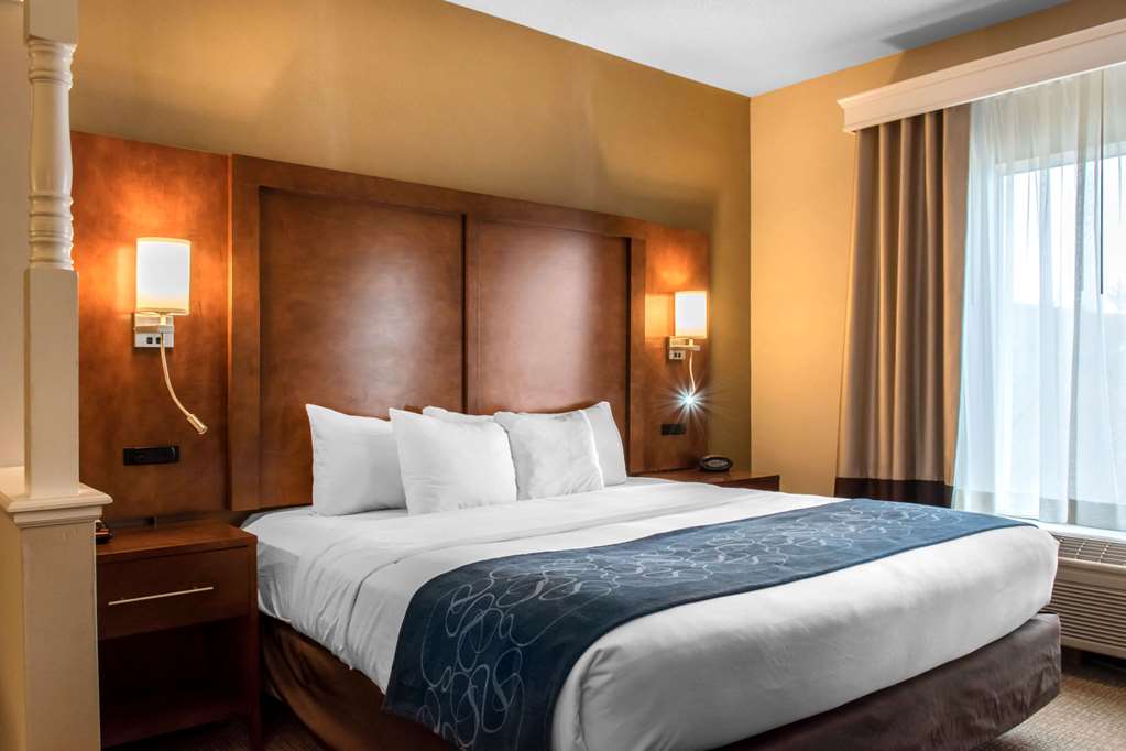 Comfort Suites Scranton near Montage Mountain - photo 10
