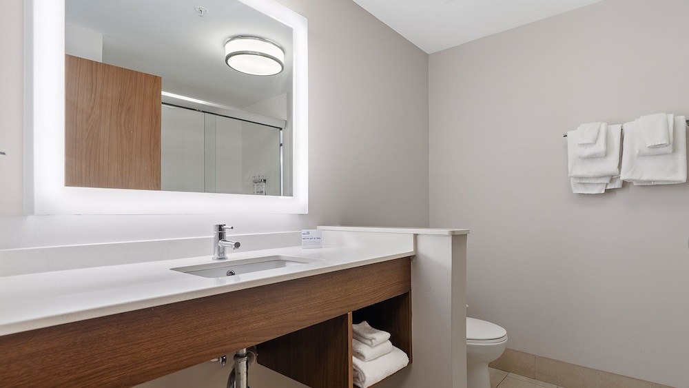 Holiday Inn Express and Suites Macon North - photo 21