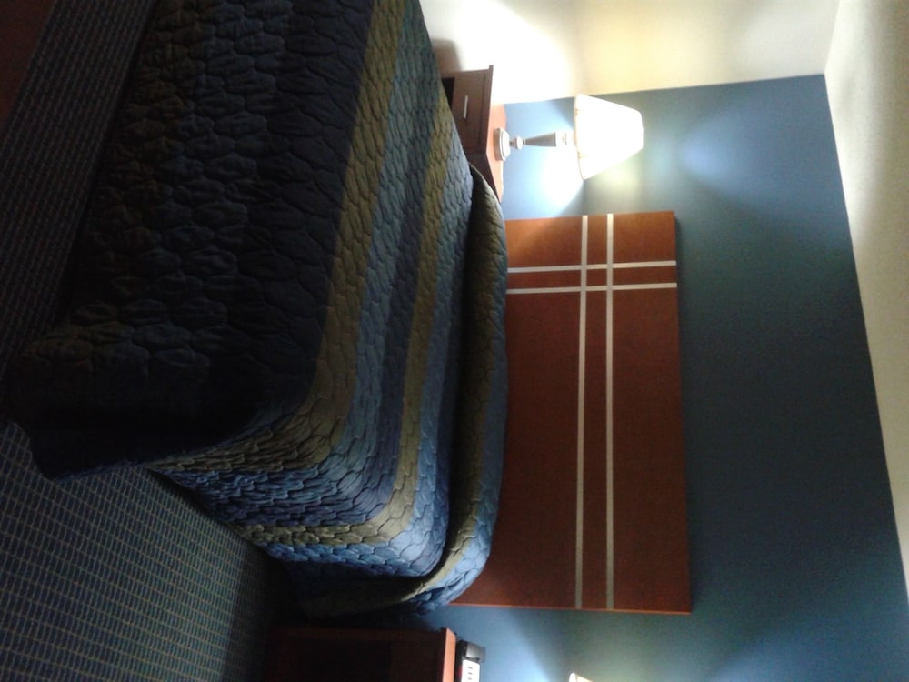 Asteria Inn and Suites - photo 10