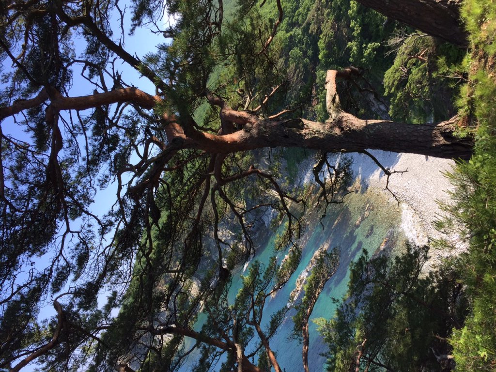 Neptun Hotel in Unknown City, Russia