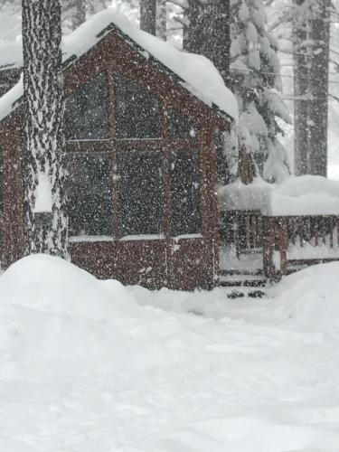 Cedar Pines Resort - photo 14