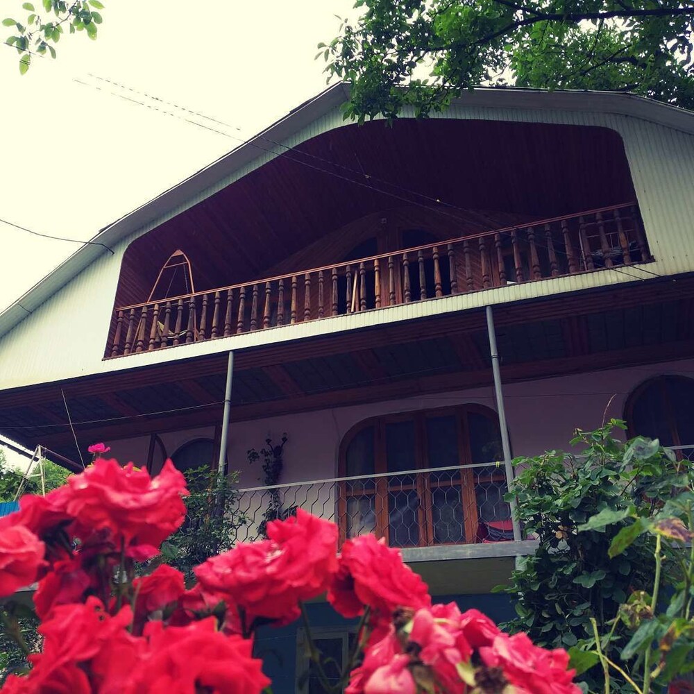 Dalko in Borjomi, Georgia