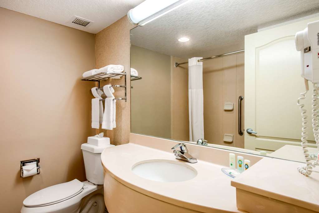 Quality Inn & Suites Tarpon Springs South - photo 19