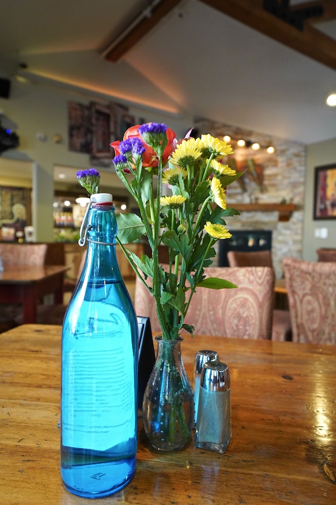 Frisco Inn on Galena Street - photo 64