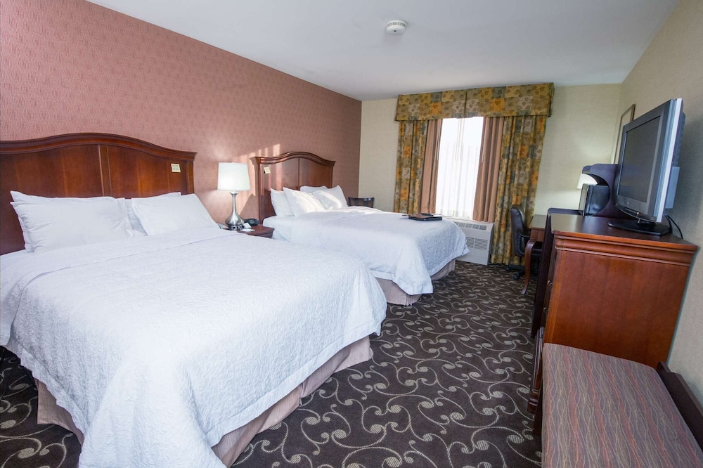 Hampton Inn Brattleboro - photo 11