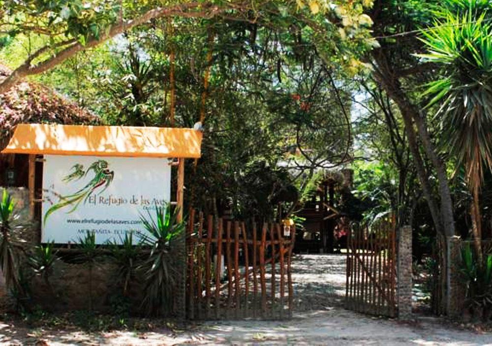 El Refugio de las Aves — Unknown City — photo 3