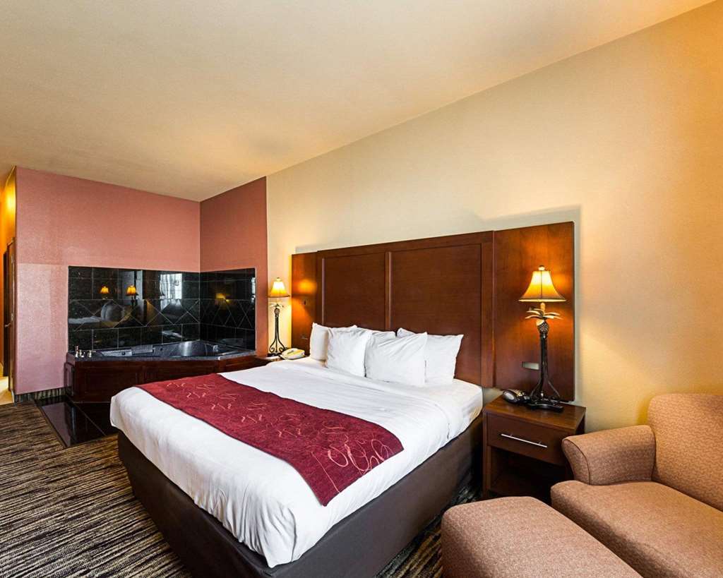 Comfort Suites McAllen Airport and La Plaza Mall - photo 7