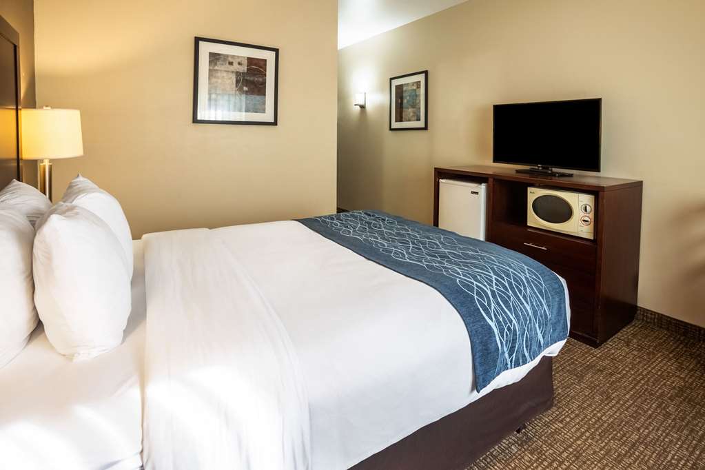 Comfort Inn Lacey Olympia - photo 18