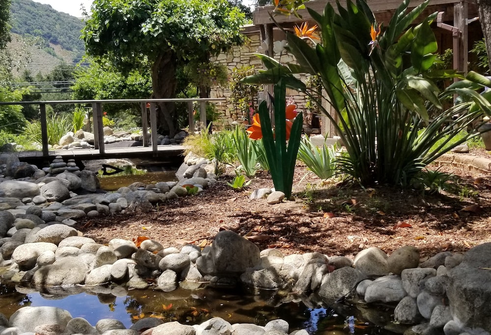 Carmel Valley Lodge and Resort - photo 40