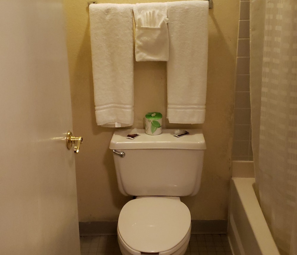Americourt Hotel - photo 27