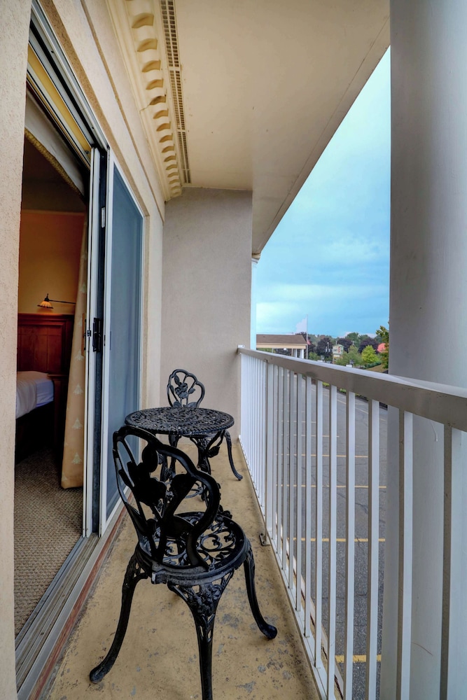 Senator Inn & Spa - photo 31