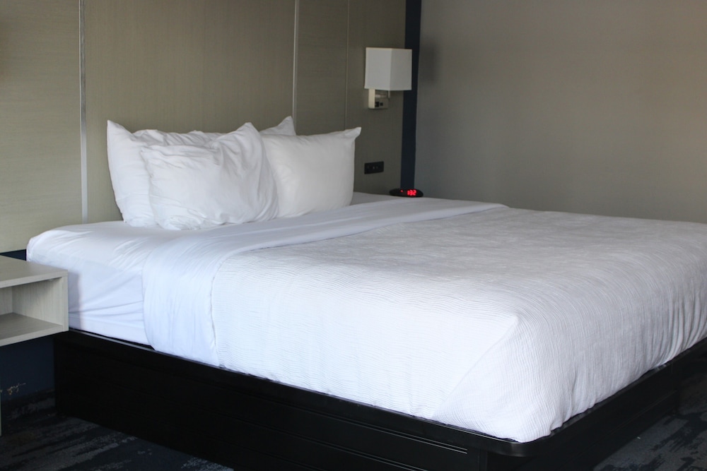 Quality Inn Scottsboro US 72 Lake Guntersville Area - photo 4