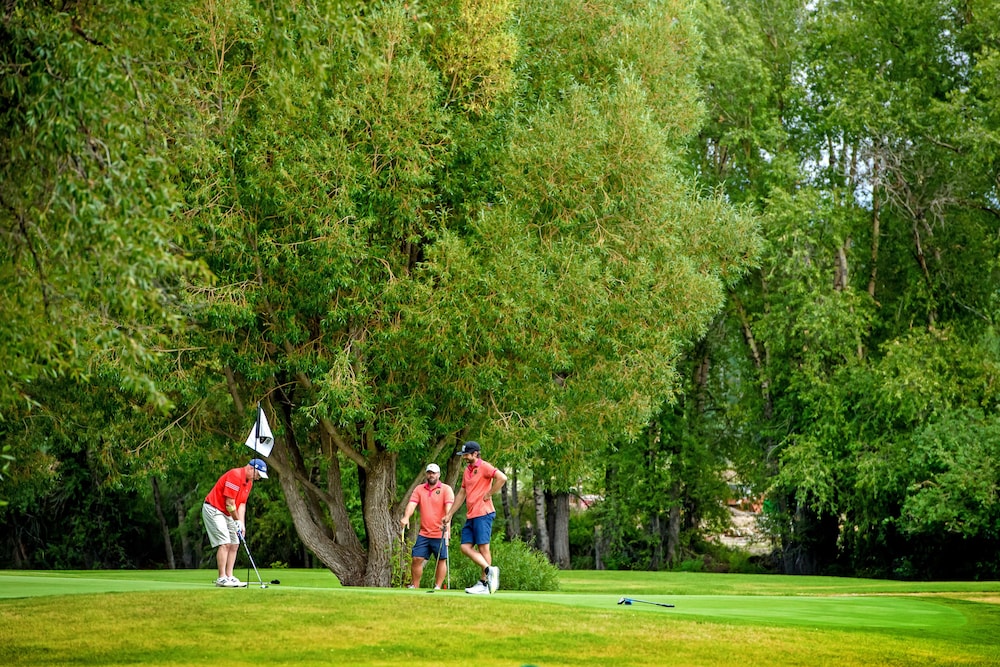 The Gunnison Inn at Dos Rios Golf Course - photo 48