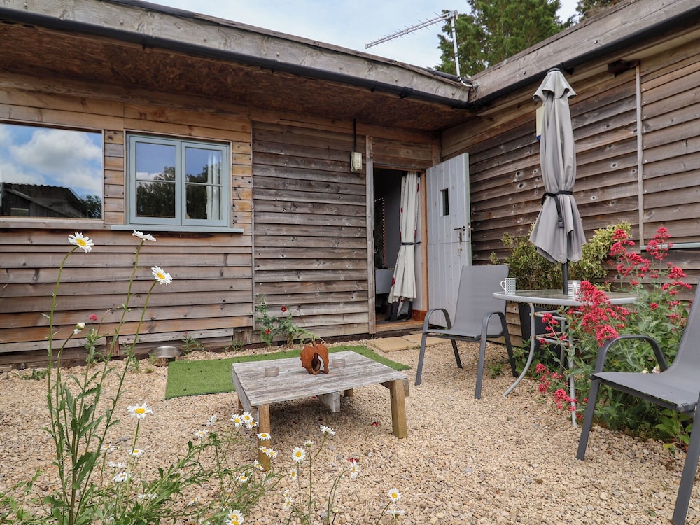 Tiny Willow in Blandford Forum, United Kingdom