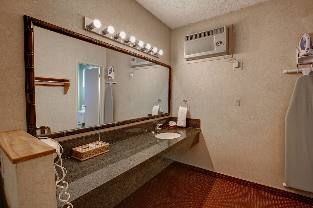 Caliente Tropics Hotel - photo 41