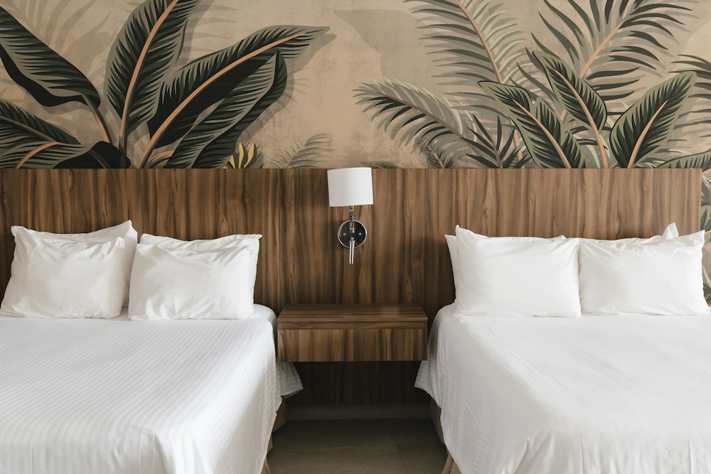 Soleare Hotel Boutique — Tampico — photo 3