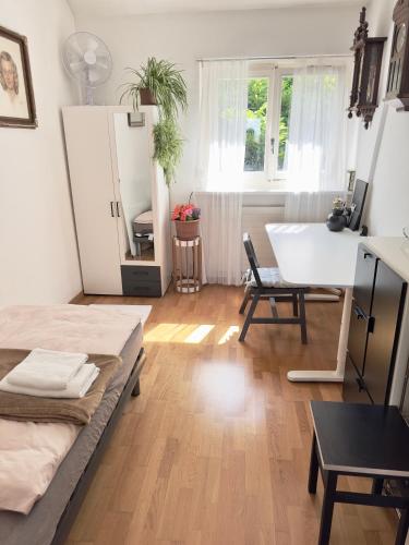 Bears View BB in Bern, Switzerland