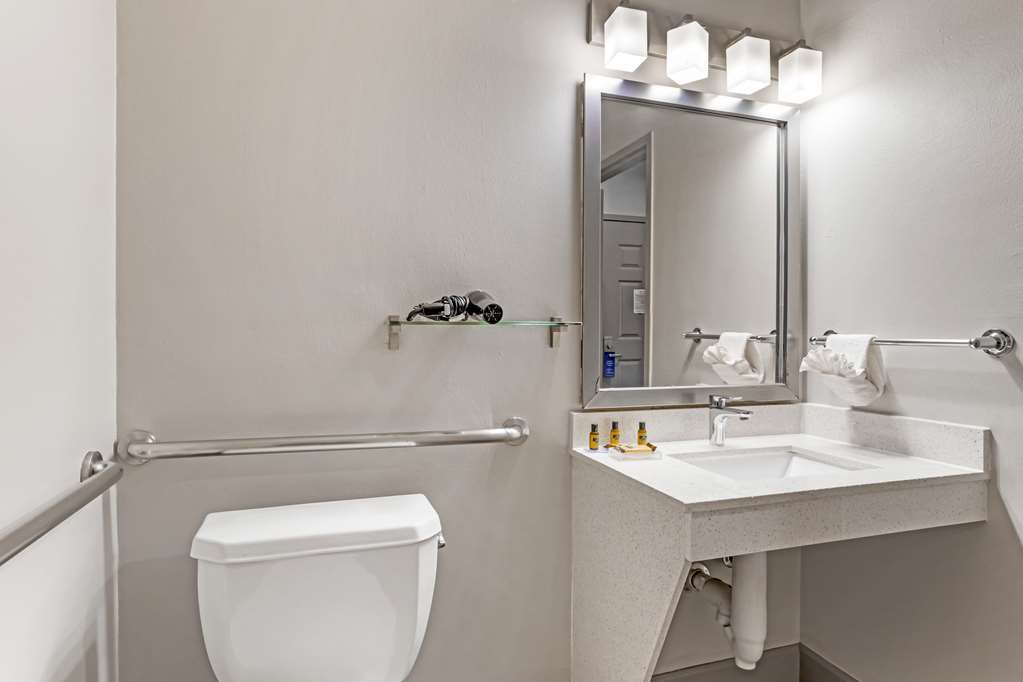 Best Western Plus Hobby Airport Inn & Suites - photo 26